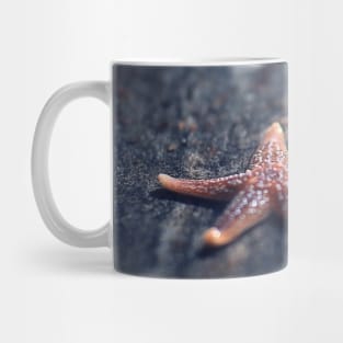 Beautiful Starfish Mug